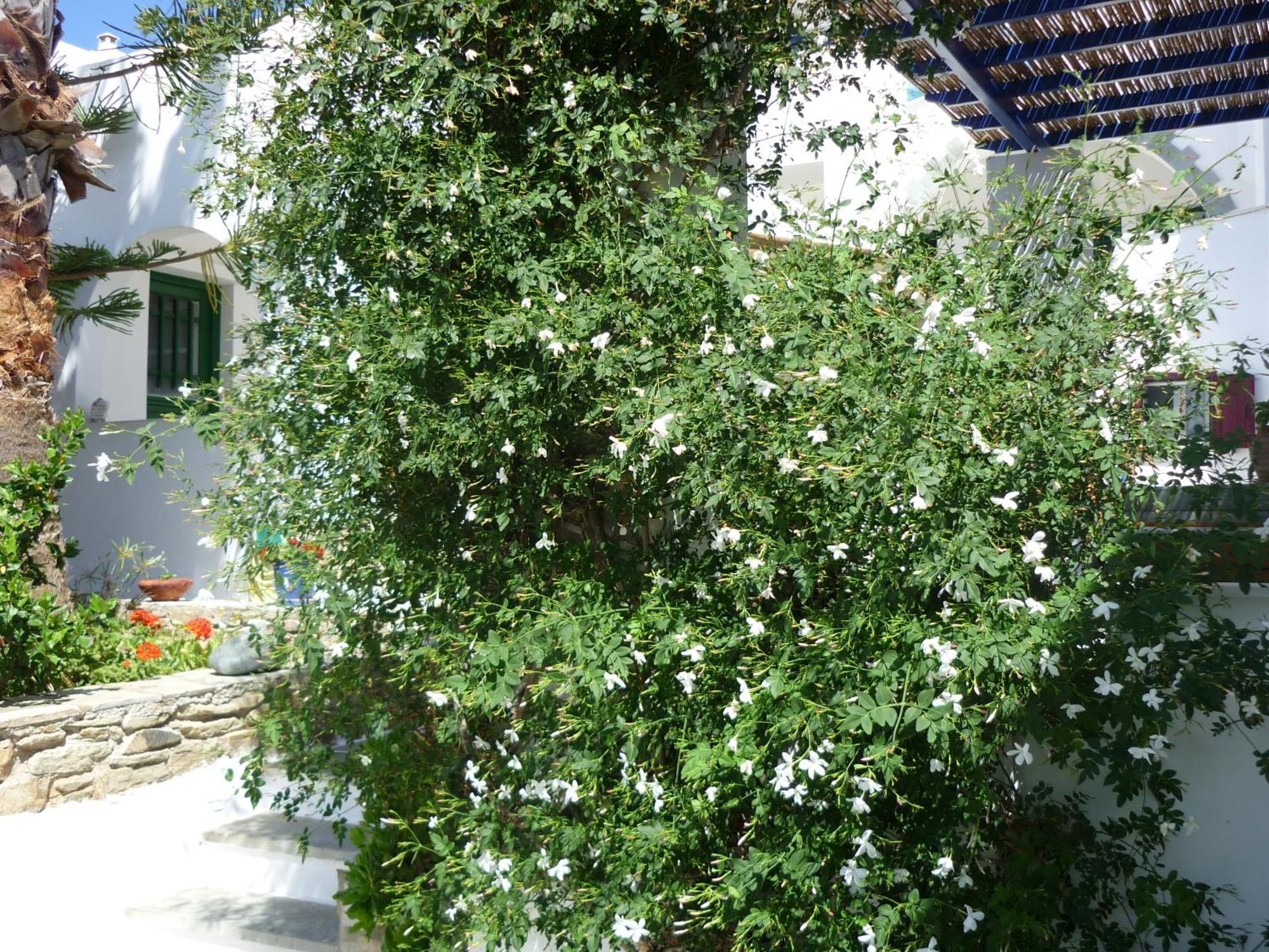 Porto Vlastos Agios Ioannis  Esterno foto